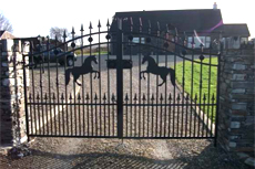 Driveway gates - Culmore - Irwin Dougherty Engineering - Horses